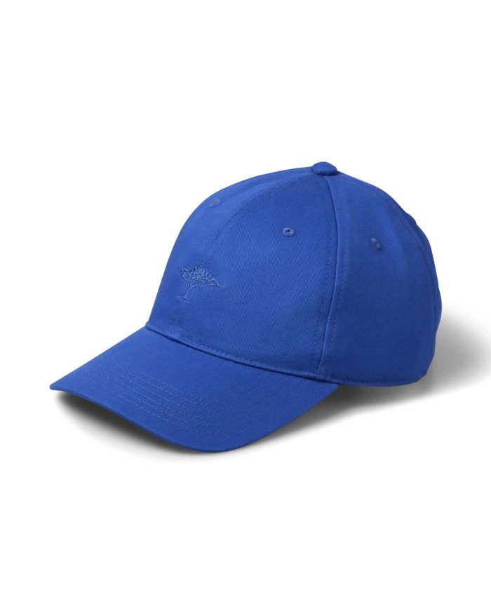 Blue baseball cap with a slight curve in the brim and an embroidered design on the front. The cap has a button on top and standard seam lines, set against a plain white background.