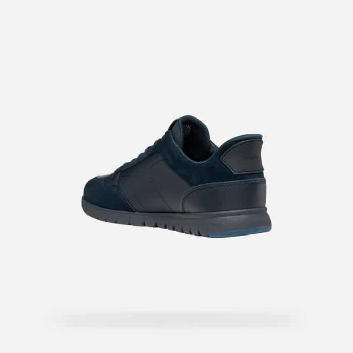 Navy blue Geox trainer with a flat sole, viewed from the rear.
